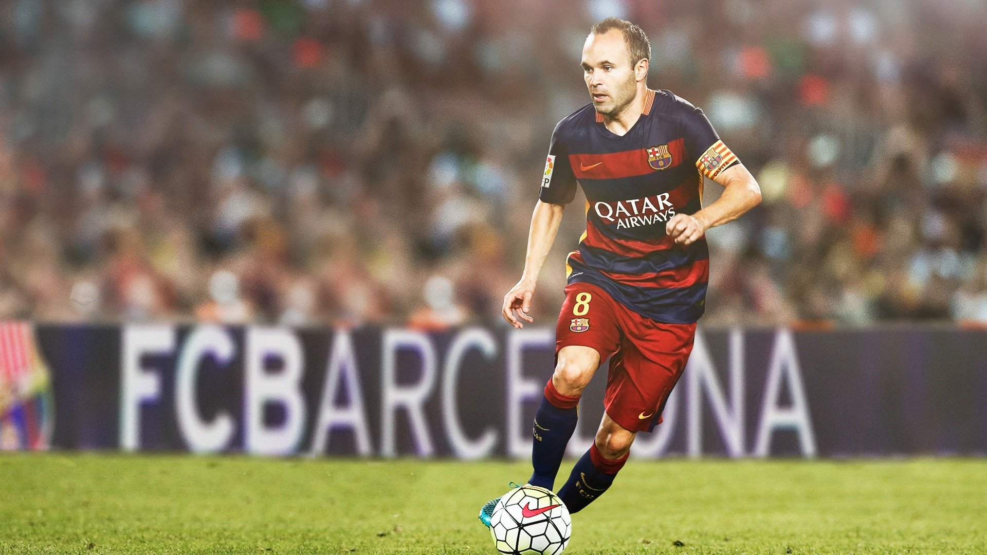 新西兰稳中带狠，一点不给对手机会，新西兰如何